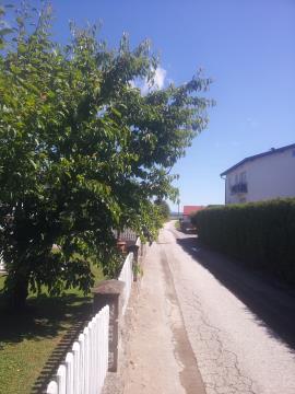 Slika 1